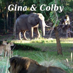 Gina and Colby