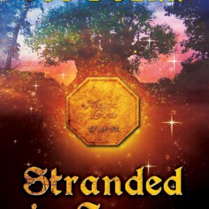 The Enchanted Coin Series Book 4: Stranded in Space